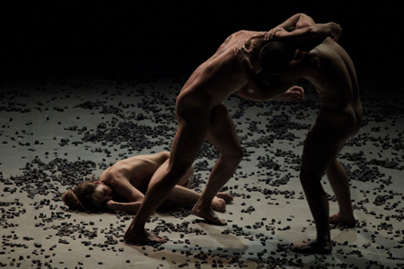 Animal de Daniel Abreu