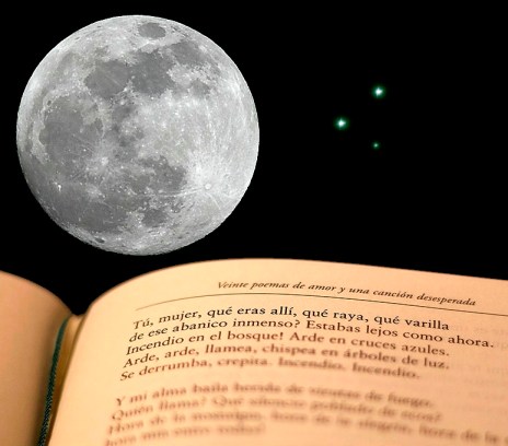 La-noche-de-los-libros