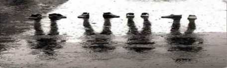 zapatos-y-danza-comuna