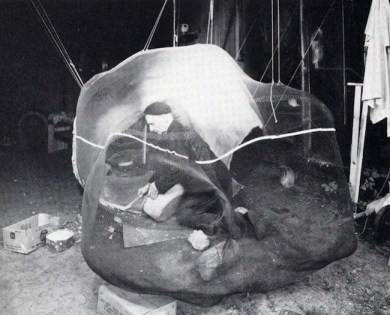 frederick-kiesler