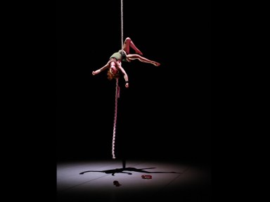 Acróbatas-de-Circa-en-Wunderkammer-3