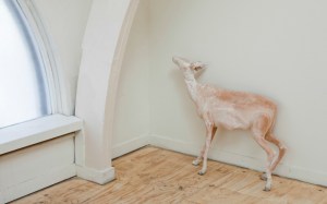 Museo-de-Ciencias-Poeticas-2