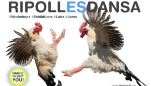 ripollesdansa-700x400