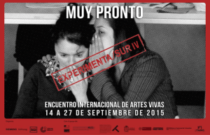 Experimenta-Sur-IV-3