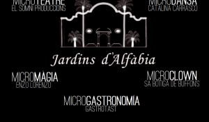 ESPAI-MICRO-NOUS-ESPECTACLES-660x386