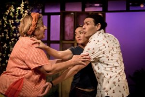 "Adentro" de Carolina Román Dirección: Tristán Ulloa Reparto: Nelson Dante, Araceli Dvoskin, Noelia Noto, Carolina Román Alexandra Alonso-Santocildes (Escenografía), Eduardo A. Chacón (Iluminación), Clara Bilbao (Vestuario), Nelson Dante (Espacio Sonoro), Perucha (Caracterización) Diego Sabanés (Ayudante de dirección), Isidro Ferrer (Diseño cartel), marcosGpunto (Fotos), Paz Producciones (Vídeo)