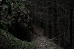 la-veronal-apres-moi-le-deluge